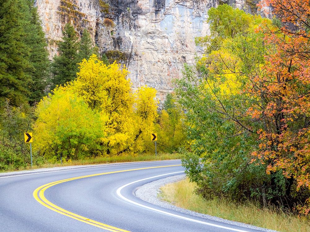 Utah-Logan Pass and highway 89 fall color with Aspen and Maple Trees